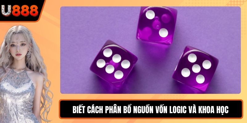 Biết cách phân bổ nguồn vốn logic và khoa học