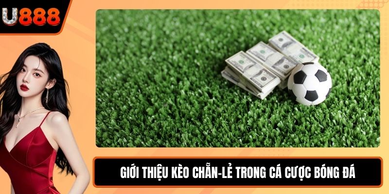 Giới thiệu kèo chẵn-lẻ trong cá cược bóng đá