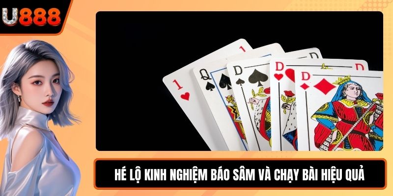 Hé lộ kinh nghiệm báo sâm và chạy bài hiệu quả