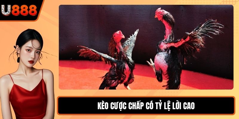 Kèo cược chấp có tỷ lệ lời cao