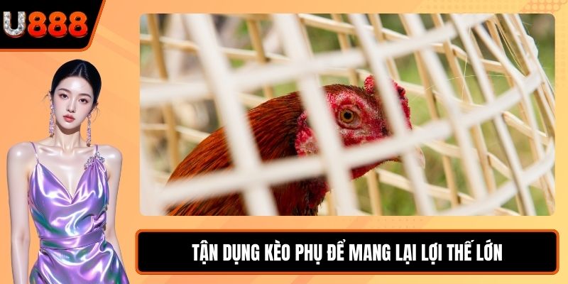 Tận dụng kèo phụ để mang lại lợi thế lớn