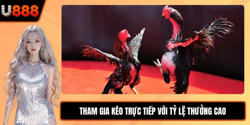 Tham gia kèo trực tiếp với tỷ lệ thưởng cao