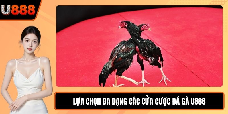 Lựa chọn đa dạng các cửa cược đá gà U888